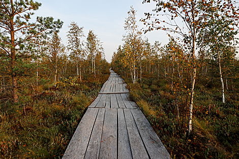 Yelnia Landscape Reserve