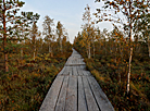 Yelnia Landscape Reserve