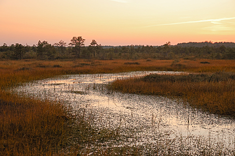 Yelnia Landscape Reserve