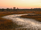 Yelnia Landscape Reserve