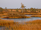 Yelnia Landscape Reserve