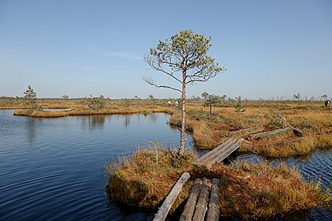 Yelnia Landscape Reserve