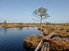 Yelnia Landscape Reserve