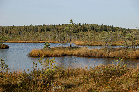 Yelnia Landscape Reserve