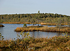 Yelnia Landscape Reserve