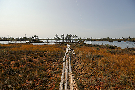 Yelnia Landscape Reserve