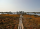 Yelnia Landscape Reserve