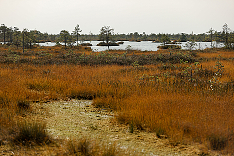 Yelnia Landscape Reserve