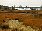 Yelnia Landscape Reserve