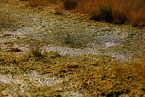 Yelnia Landscape Reserve