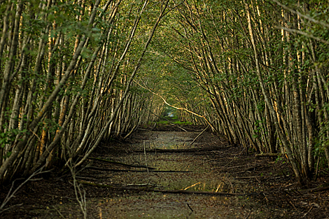 Yelnia Landscape Reserve