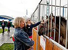 The international agriculture expo Belagro 2020 in Minsk