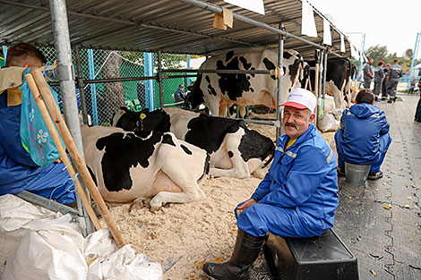 Міжнародная выстаўка 