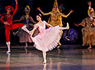 Nutcracker in Bolshoi Theater in Minsk