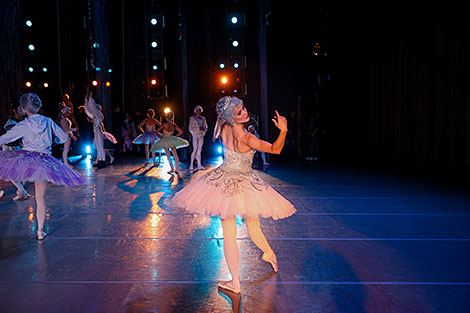 Nutcracker in Bolshoi Theater 