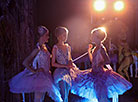 Nutcracker in Bolshoi Theater 