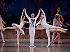 Nutcracker in Bolshoi Theater 