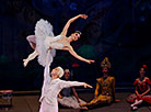 Nutcracker in Bolshoi Theater 