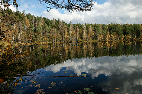 Blue Lakes nature trail