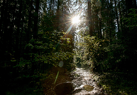 Blue Lakes nature trail