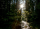 Blue Lakes nature trail