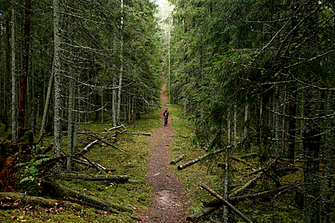 Blue Lakes nature trail