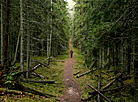 Blue Lakes nature trail