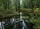 Blue Lakes nature reserve