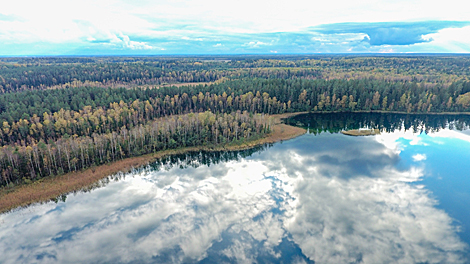 Заказнік 