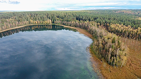 Заказнік 