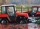 Pinsk cranberry field