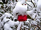 First snow of the season in Belarus