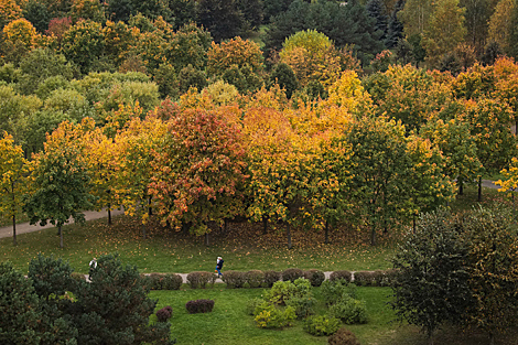Autumn in the Uruchie park in Minsk