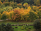 Autumn in the Uruchie park in Minsk