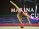玛丽娜·洛巴赫奖的国际艺术体操锦标赛