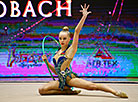 Marina Lobach International Rhythmic Gymnastics Tournament 