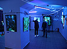 Light-dynamic art exhibition in Vitebsk