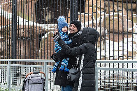 Minsk Zoo preparing for winter