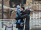 Minsk Zoo preparing for winter