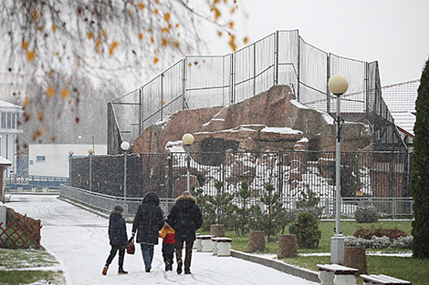 Minsk Zoo preparing for winter