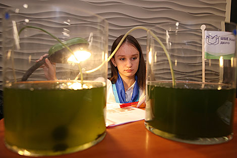 Конкурс 