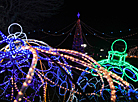 格罗德诺主要圣诞树上的照明仪式