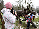 Fairytale 2020 event in Belovezhskaya Pushcha