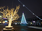 明斯克的新年照明亮起：正值节日前国家的主新年枞树在十月广场上和五光十色的城市
