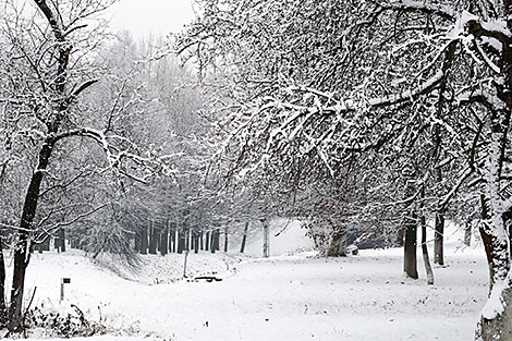 Зима в Могилеве