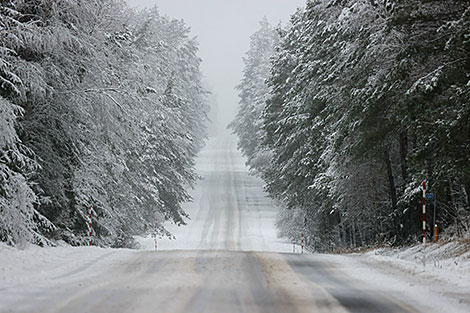 Winter in the Narochansky National Park