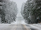 Winter in the Narochansky National Park