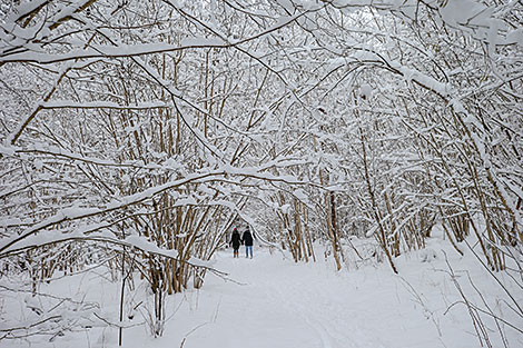 景观区“碧绿湖泊”的雪景