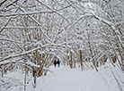 Winter landscapes in the Blue Lakes reserve