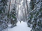 Winter landscapes in the Blue Lakes reserve